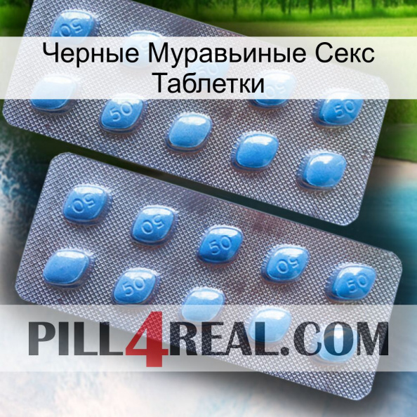 Черные Муравьиные Секс Таблетки viagra4.jpg